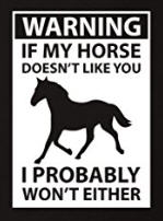 john_david_sottile_horse_doesnt_like_you_tee_shirt.jpg